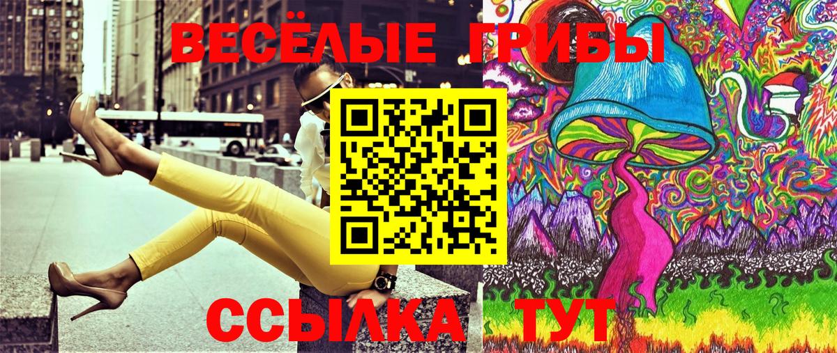 Галлюциногенные грибы GOLDEN TEACHER Новодвинск