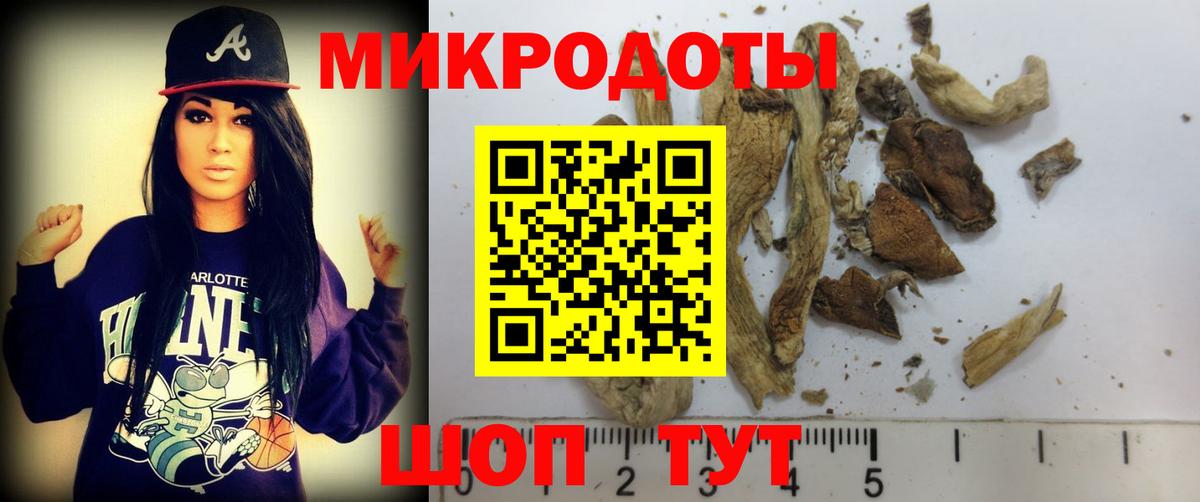 Новодвинск  Галлюциногенные грибы Psilocybine cubensis  Вход с VPN 