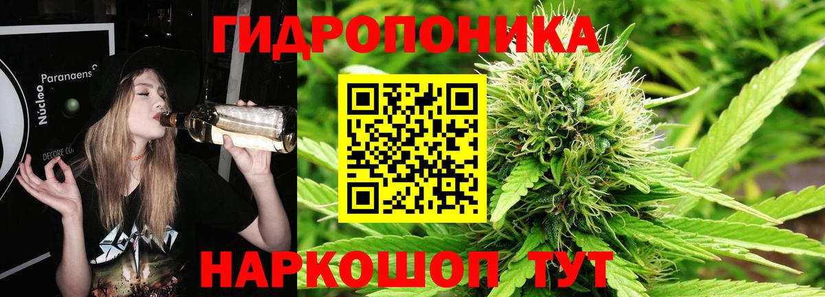 МАРИХУАНА Amnesia  Вход с VPN  Новодвинск  Канабис SATIVA & INDICA  МАРИХУАНА ГИДРОПОН 
